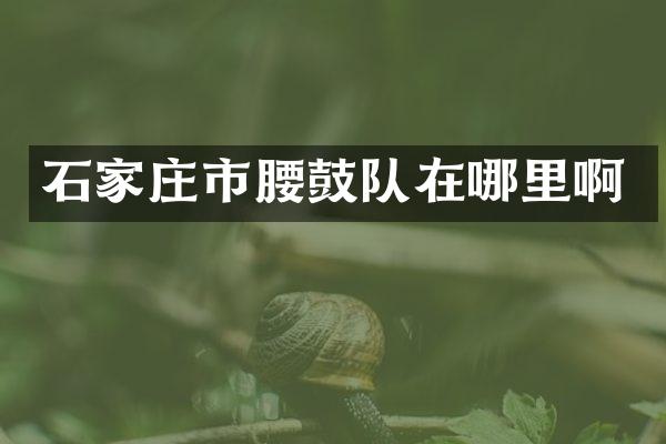 石家庄市腰鼓队在哪里啊