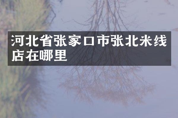 河北省张家口市张北米线店在哪里