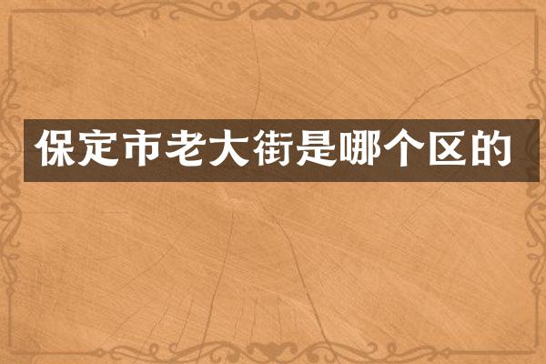 保定市老大街是哪个区的