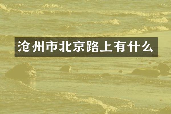 沧州市北京路上有什么