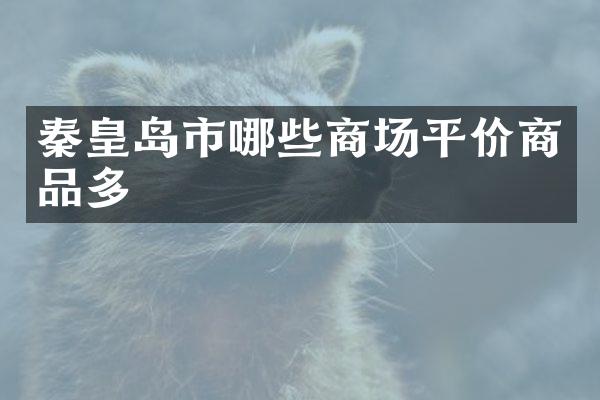 秦皇岛市哪些商场平价商品多