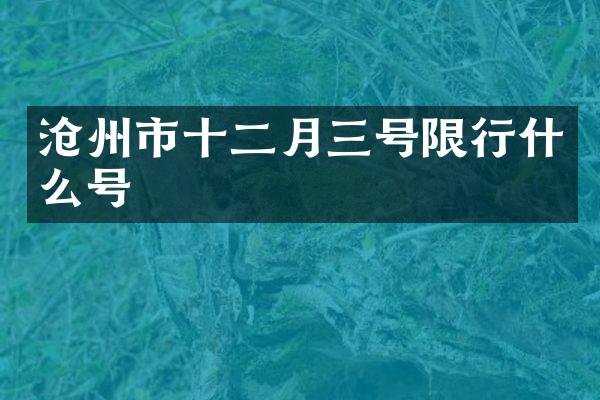 沧州市十二月三号限行什么号