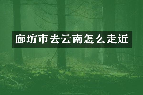 廊坊市去云南怎么走近