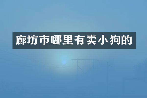廊坊市哪里有卖小狗的