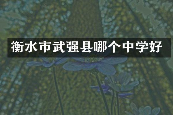 衡水市武强县哪个中学好