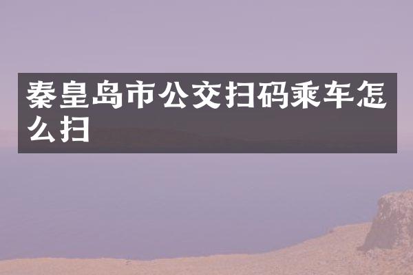 秦皇岛市公交扫码乘车怎么扫