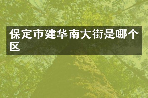 保定市建华南大街是哪个区