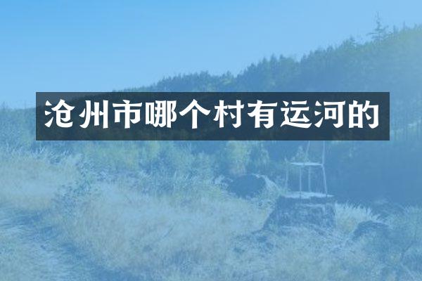 沧州市哪个村有运河的