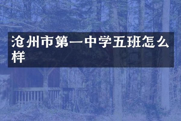 沧州市第一中学五班怎么样