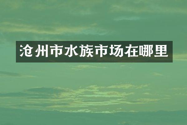 沧州市水族市场在哪里