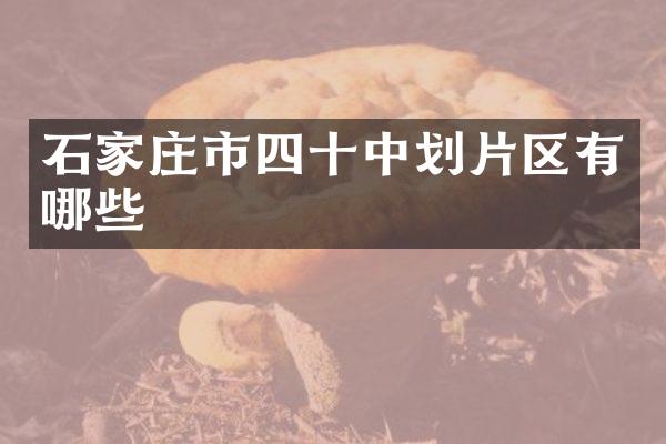 石家庄市四十中划片区有哪些