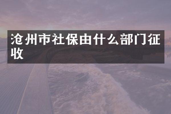 沧州市社保由什么部门征收