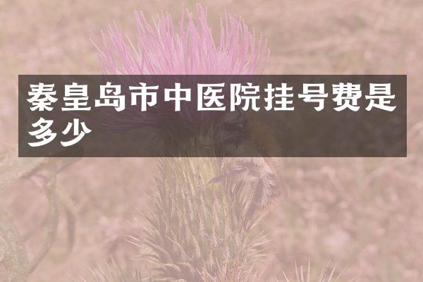 秦皇岛市中医院挂号费是多少