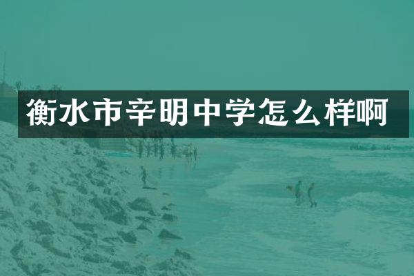 衡水市辛明中学怎么样啊