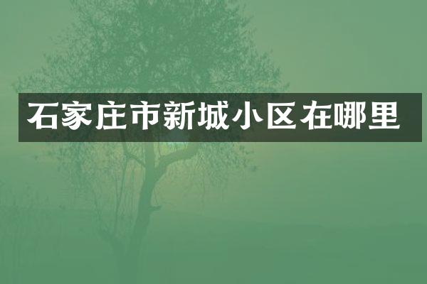 石家庄市新城小区在哪里