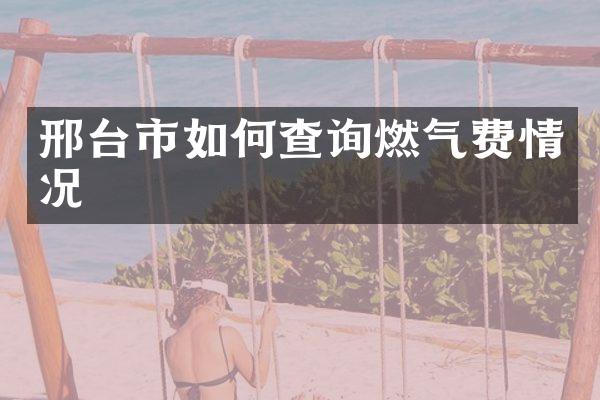邢台市如何查询燃气费情况
