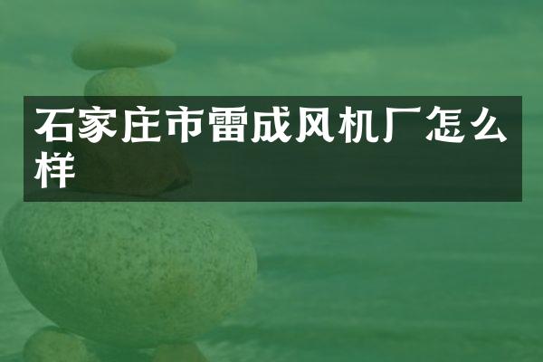 石家庄市雷成风机厂怎么样