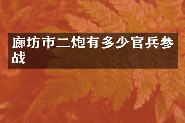 廊坊市二炮有多少官兵参战