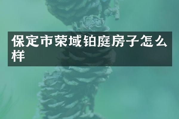 保定市荣域铂庭房子怎么样
