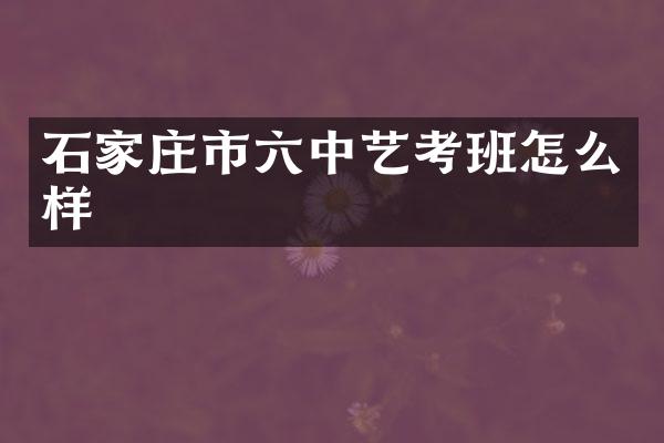 石家庄市六中艺考班怎么样