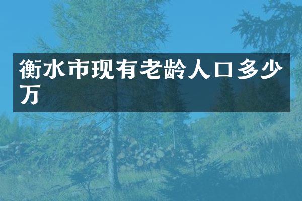 衡水市现有老龄人口多少万