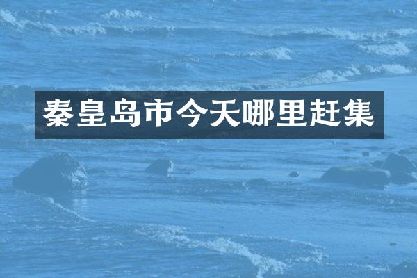 秦皇岛市今天哪里赶集
