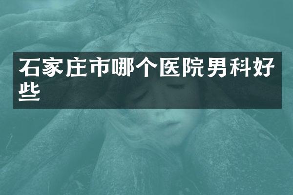 石家庄市哪个医院男科好些