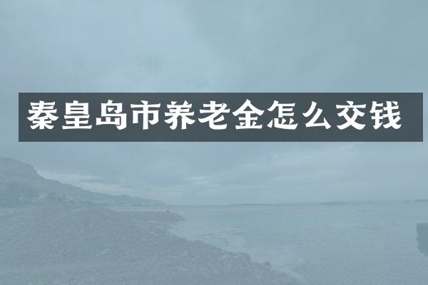 秦皇岛市养老金怎么交钱