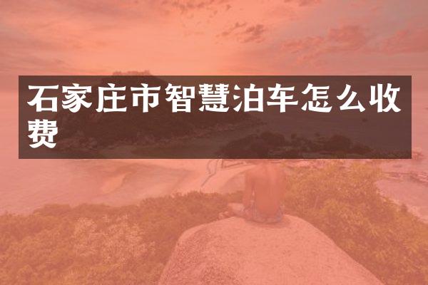 石家庄市智慧泊车怎么收费