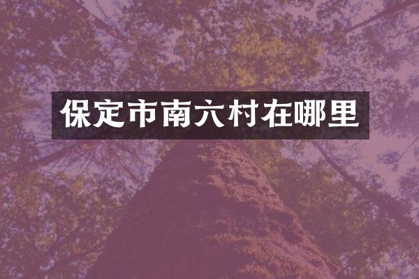 保定市南六村在哪里