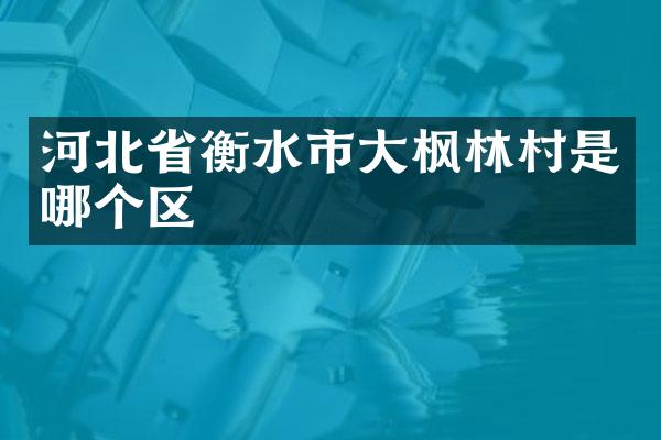 河北省衡水市大枫林村是哪个区