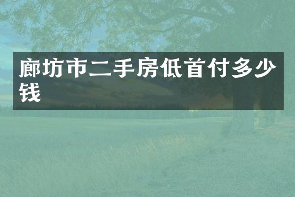 廊坊市二手房低首付多少钱