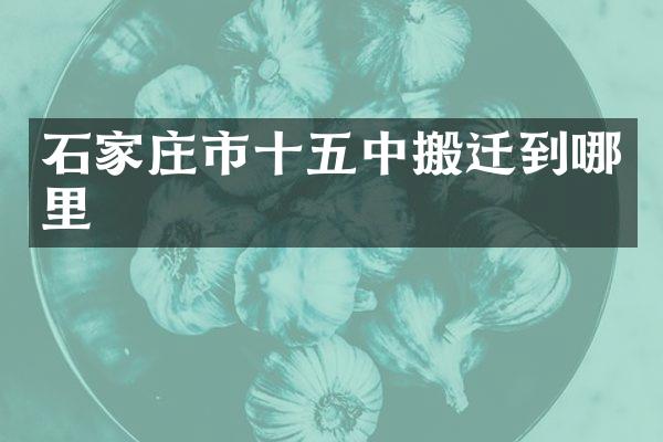 石家庄市十五中搬迁到哪里