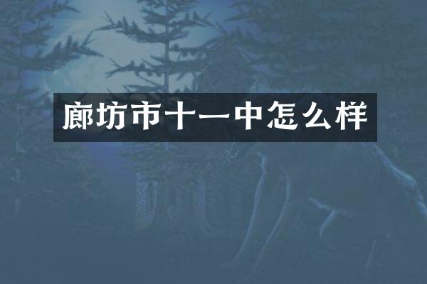 廊坊市十一中怎么样