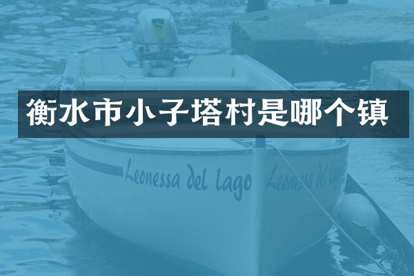 衡水市小子塔村是哪个镇