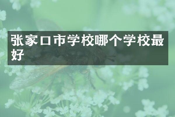 张家口市学校哪个学校最好