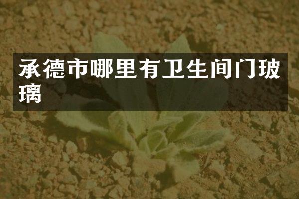 承德市哪里有卫生间门玻璃