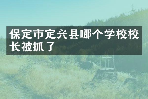 保定市定兴县哪个学校校长被抓了