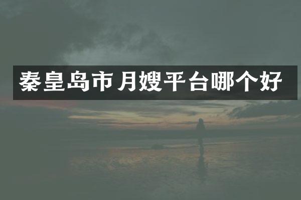 秦皇岛市月嫂平台哪个好