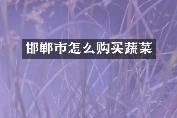 邯郸市怎么购买蔬菜