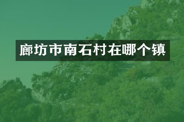 廊坊市南石村在哪个镇