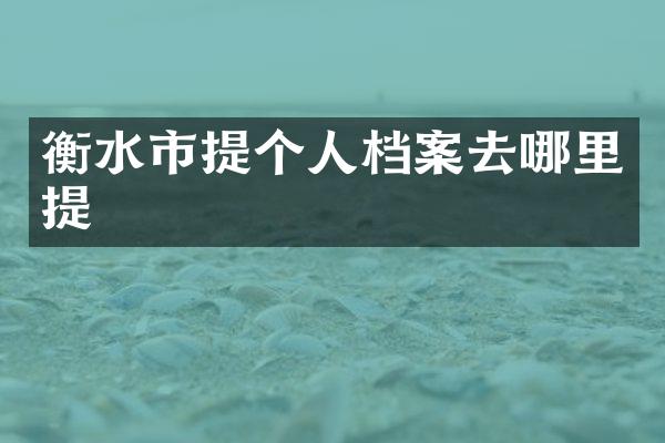 衡水市提个人档案去哪里提