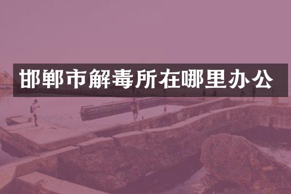 邯郸市解毒所在哪里办公