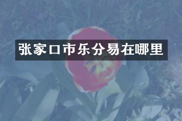 张家口市乐分易在哪里