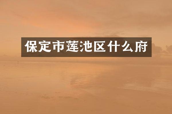 保定市莲池区什么府