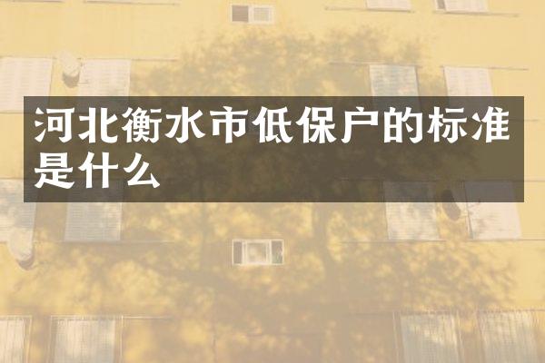 河北衡水市低保户的标准是什么