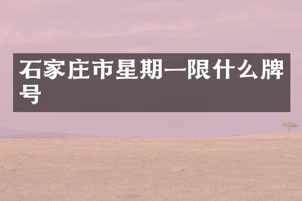 石家庄市星期一限什么牌号