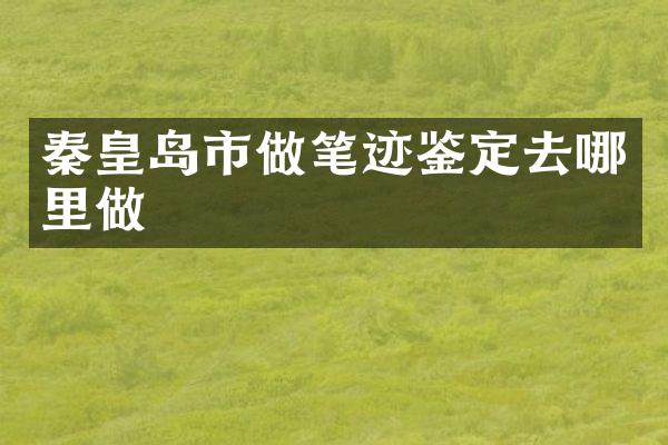 秦皇岛市做笔迹鉴定去哪里做
