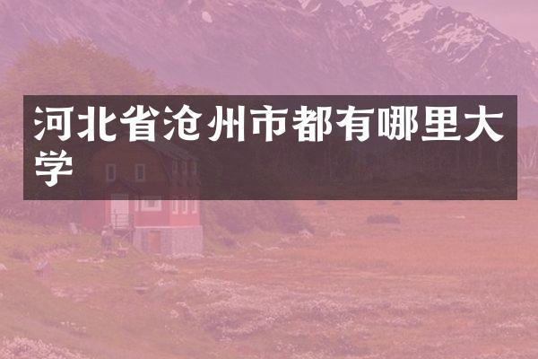 河北省沧州市都有哪里大学