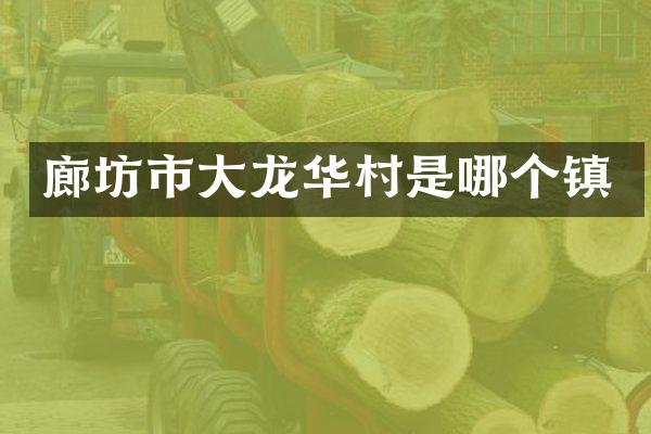 廊坊市大龙华村是哪个镇